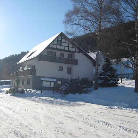 Pension-Gaestehaus Waldhof Winterberg Esterno foto