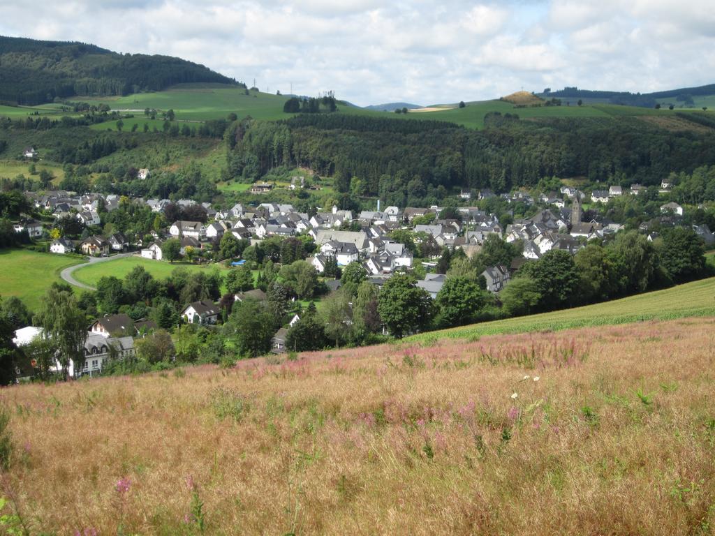 Pension-Gaestehaus Waldhof Winterberg Esterno foto