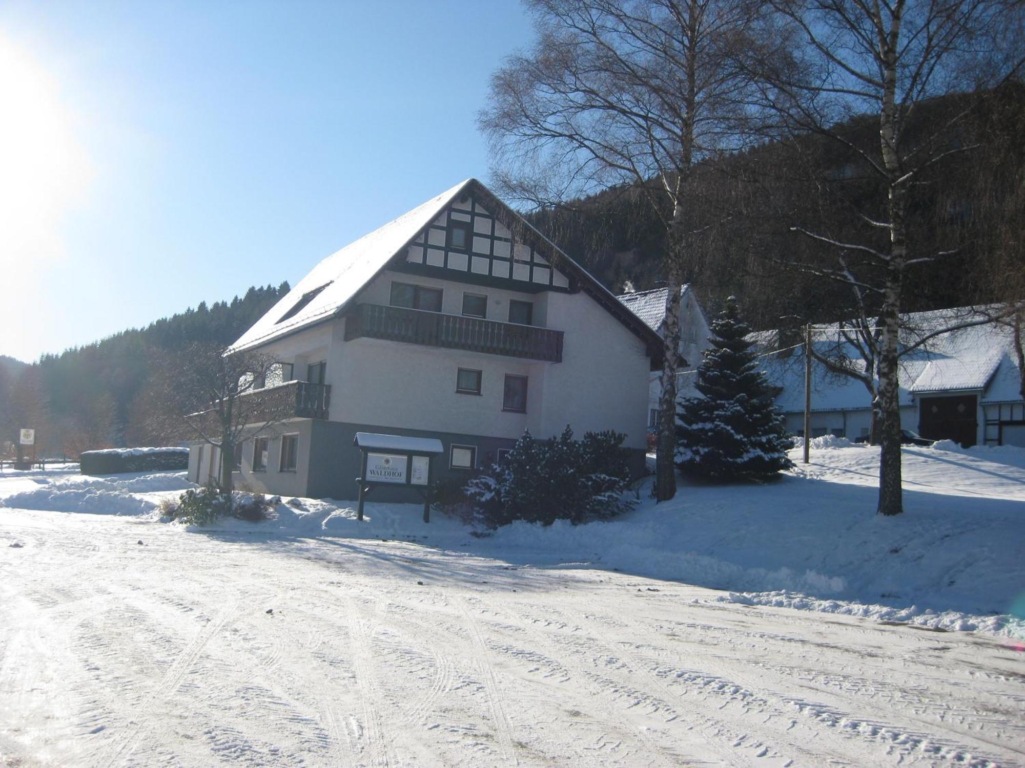 Pension-Gaestehaus Waldhof Winterberg Esterno foto