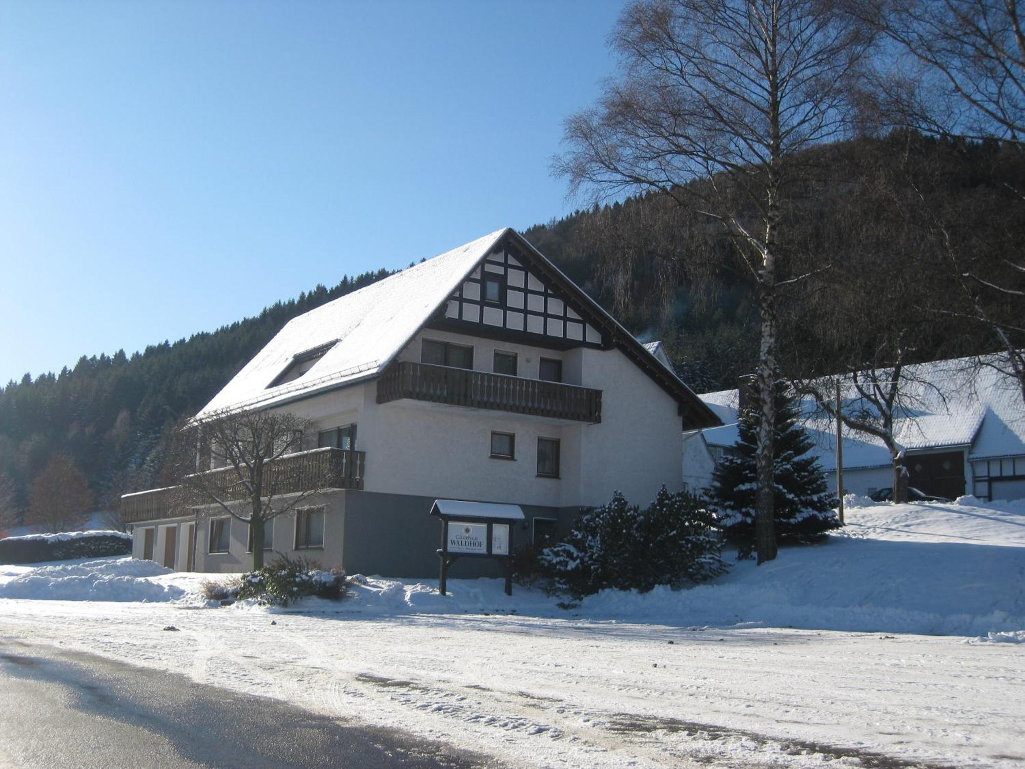 Pension-Gaestehaus Waldhof Winterberg Esterno foto