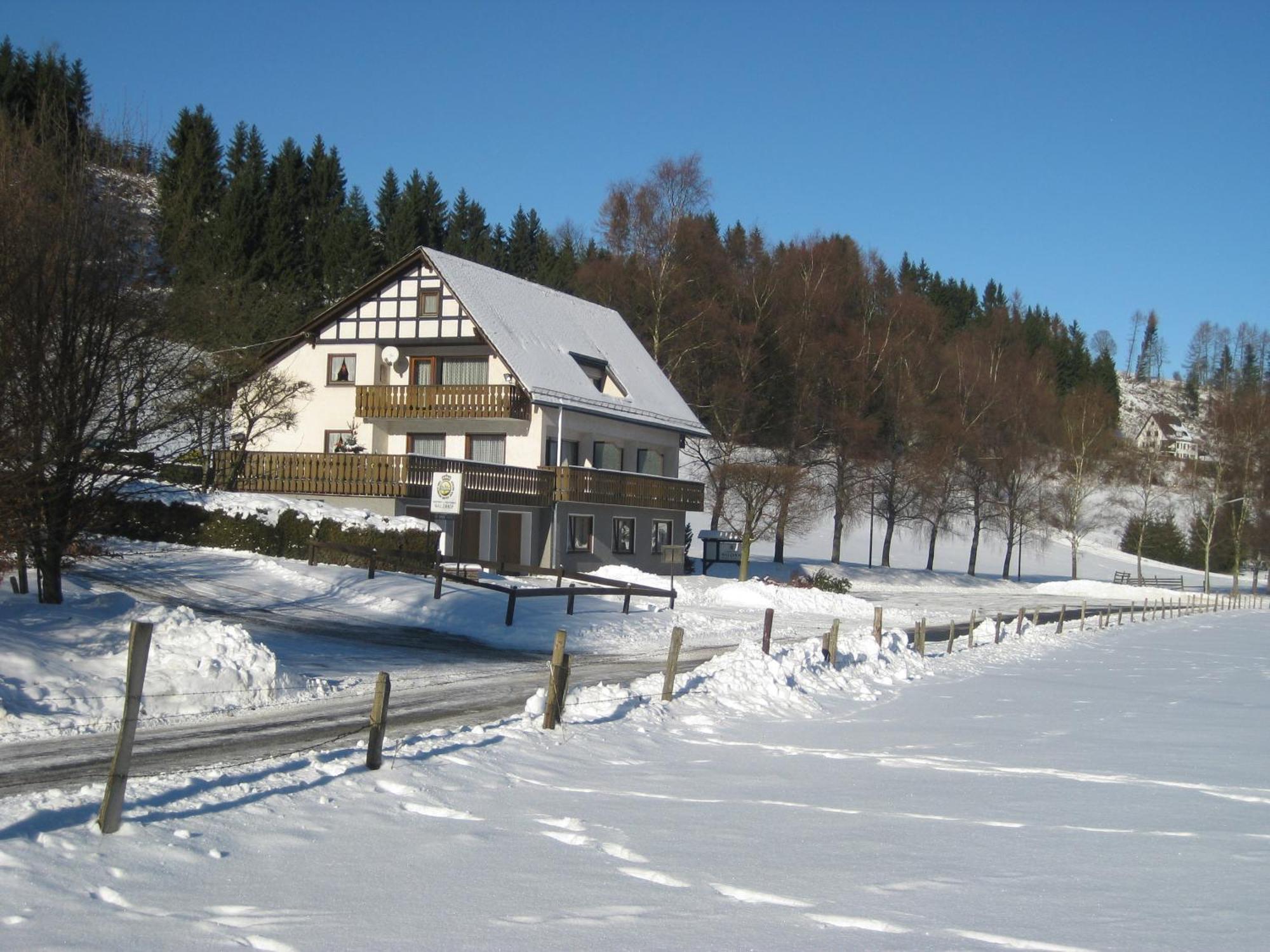 Pension-Gaestehaus Waldhof Winterberg Esterno foto