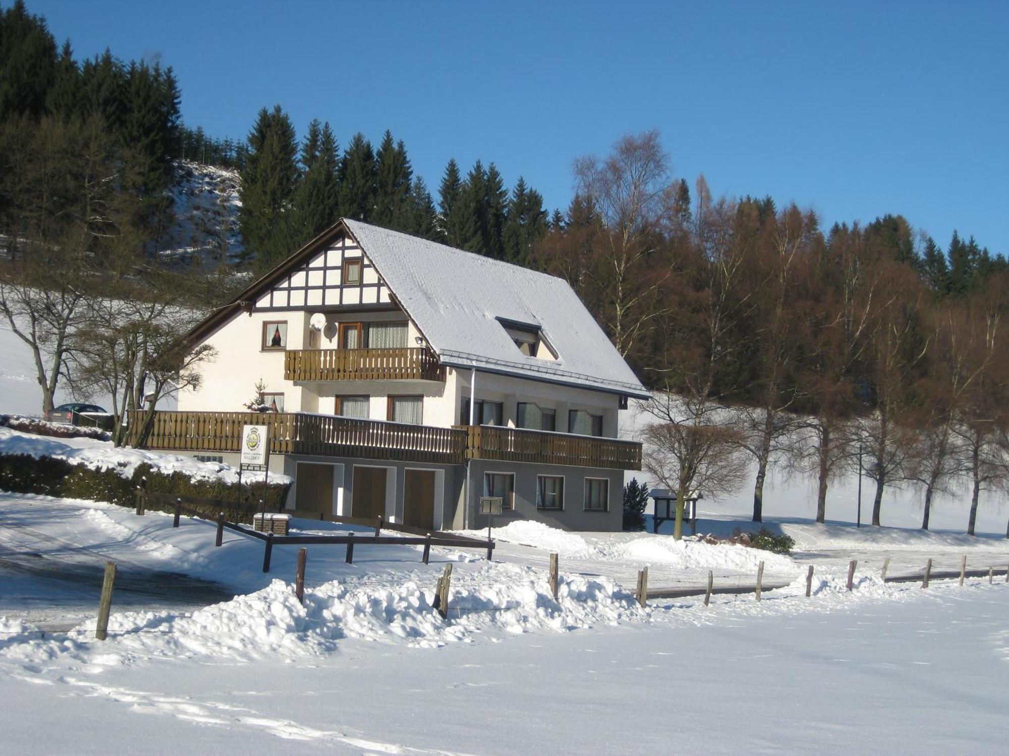 Pension-Gaestehaus Waldhof Winterberg Esterno foto