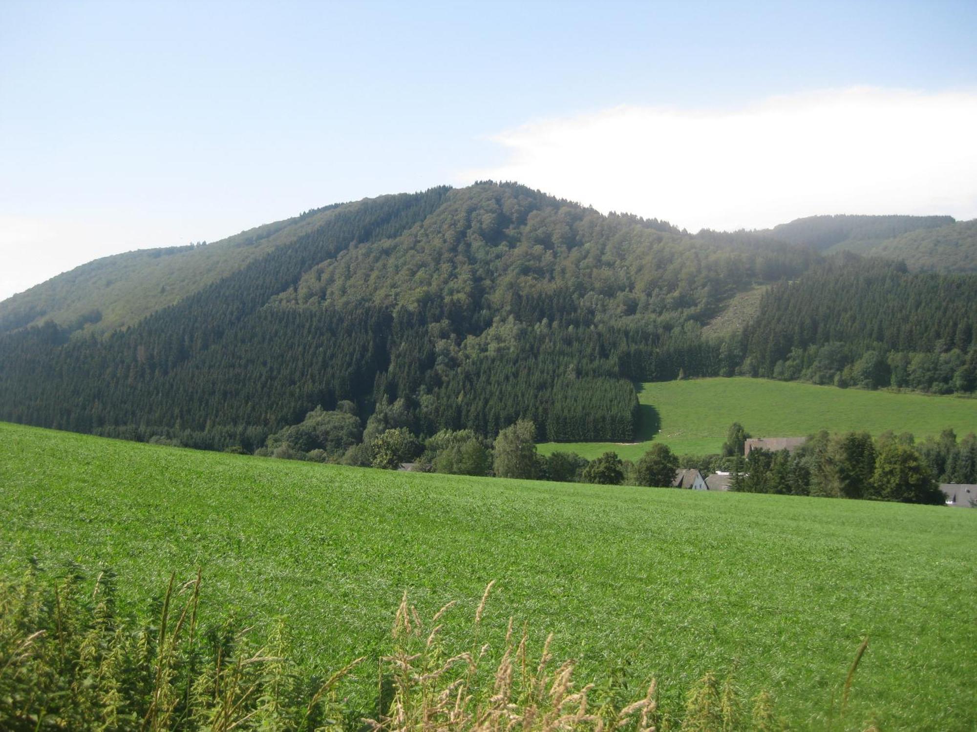 Pension-Gaestehaus Waldhof Winterberg Esterno foto