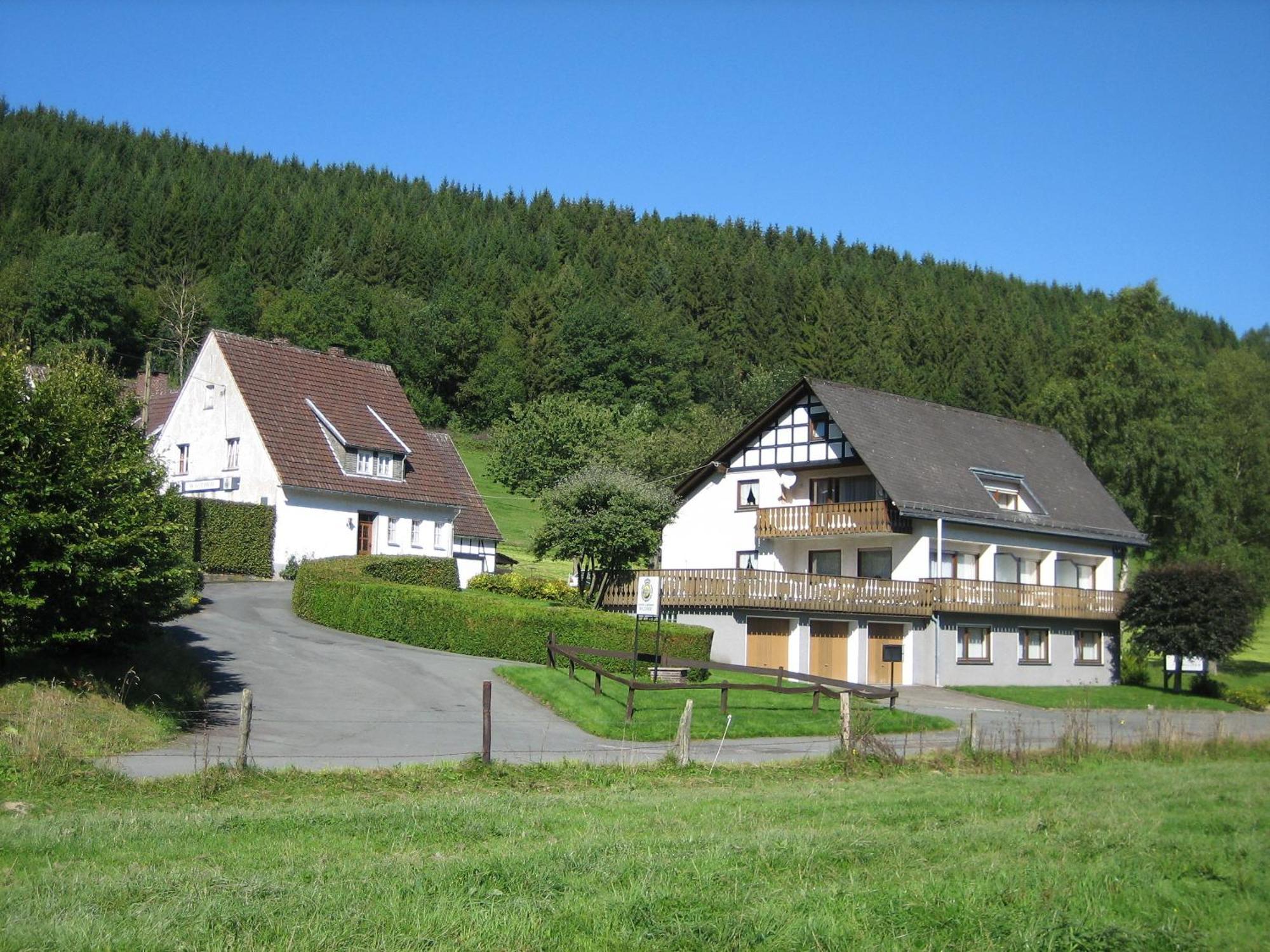 Pension-Gaestehaus Waldhof Winterberg Esterno foto
